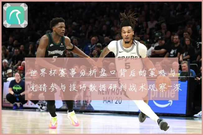 世界杯赛事分析盘口背后的策略与竞猜参与技巧数据研判战术观察-深度解析