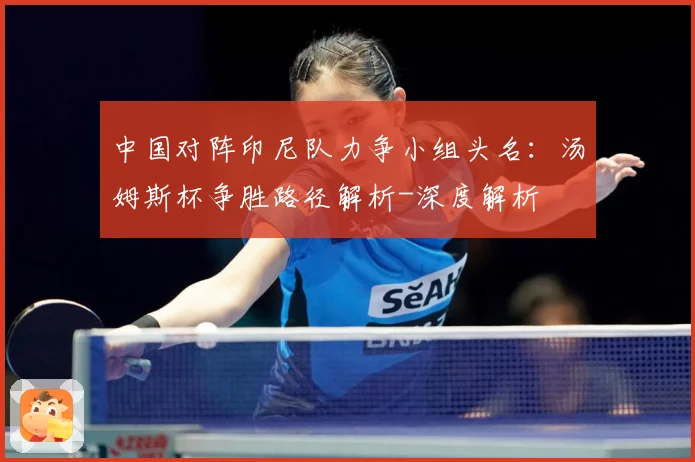 中国对阵印尼队力争小组头名：汤姆斯杯争胜路径解析-深度解析